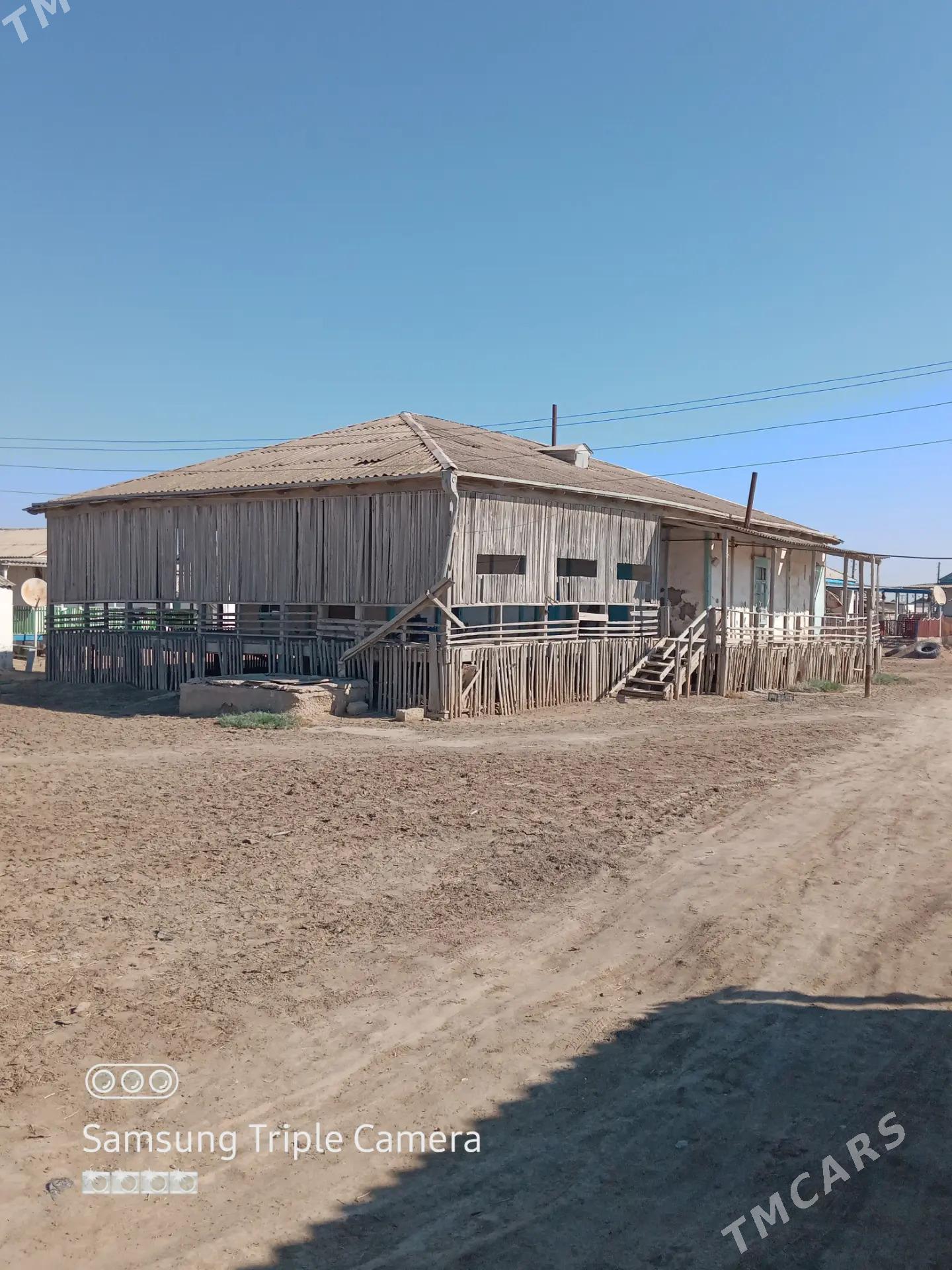 Agaç jaý - Esenguly - img 1