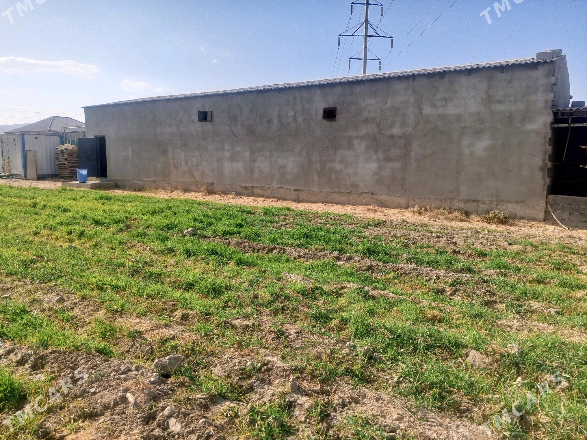 Jaý - Bäherden - img 1