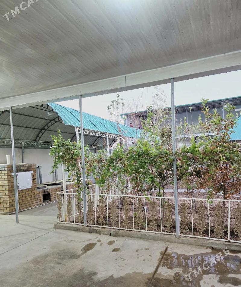 Satlyk jay Anew taze uchaska - Änew - img 8