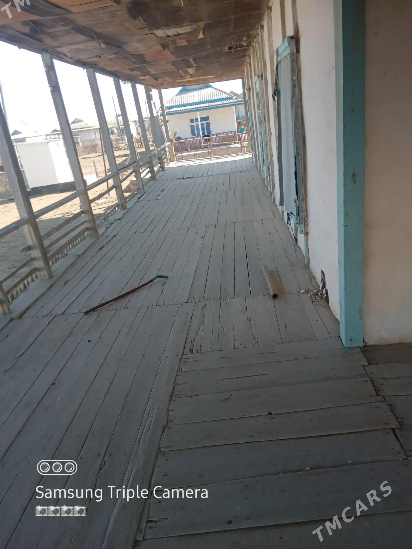 Agaç jaý - Esenguly - img 2