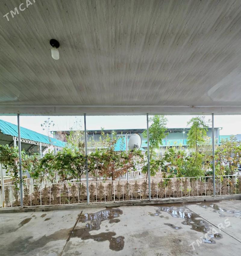 Satlyk jay Anew taze uchaska - Änew - img 9