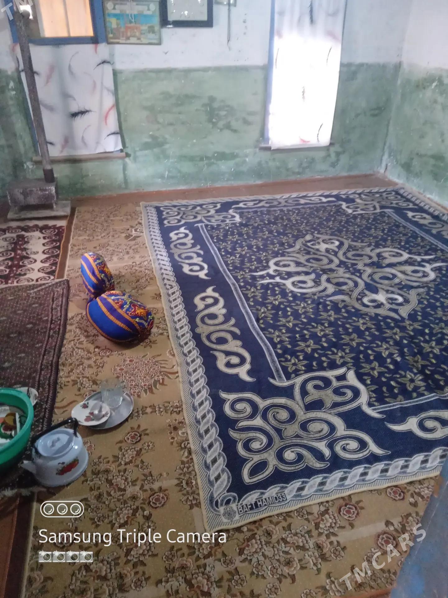 Agaç jaý - Esenguly - img 10