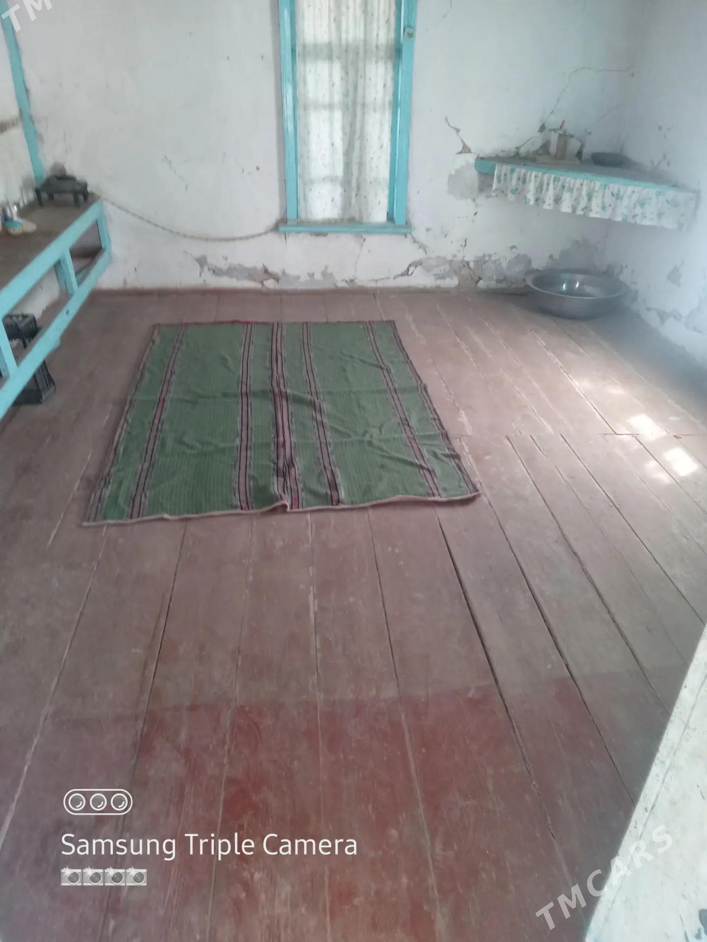 Agaç jaý - Esenguly - img 4