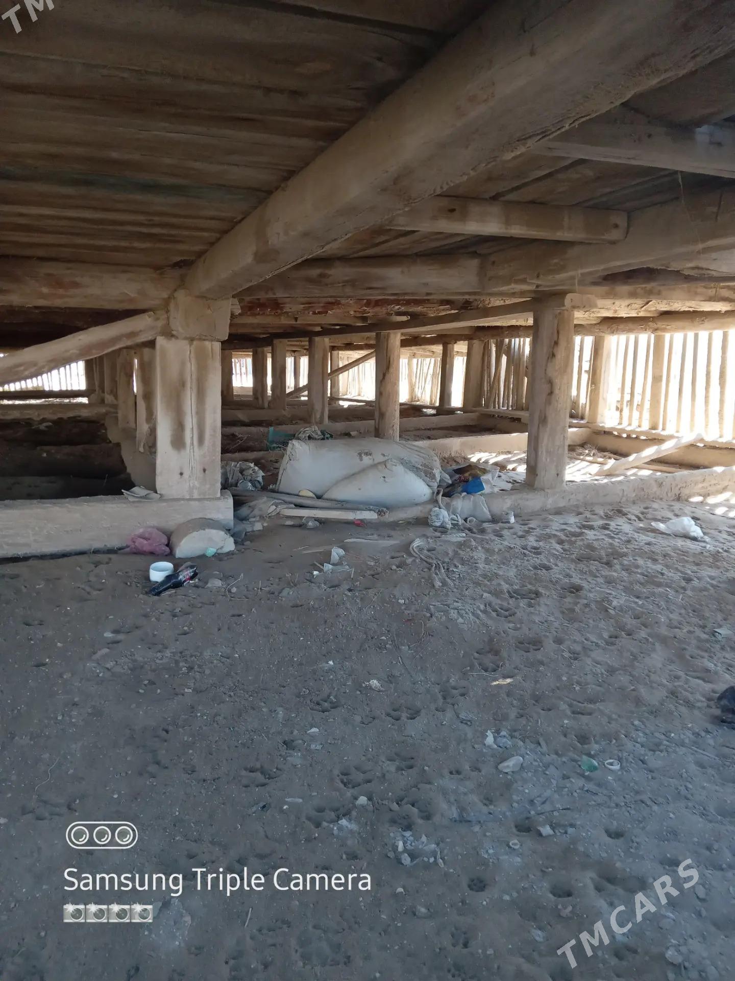 Agaç jaý - Esenguly - img 3