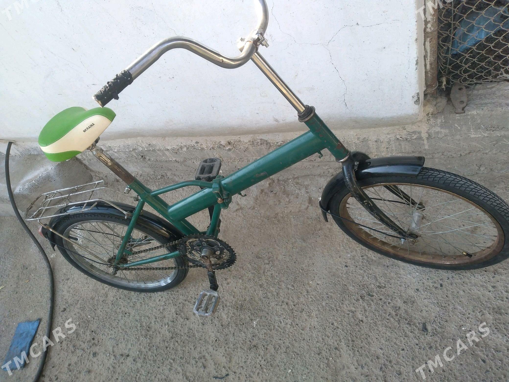 KAMA TIGIR - Багир - img 2