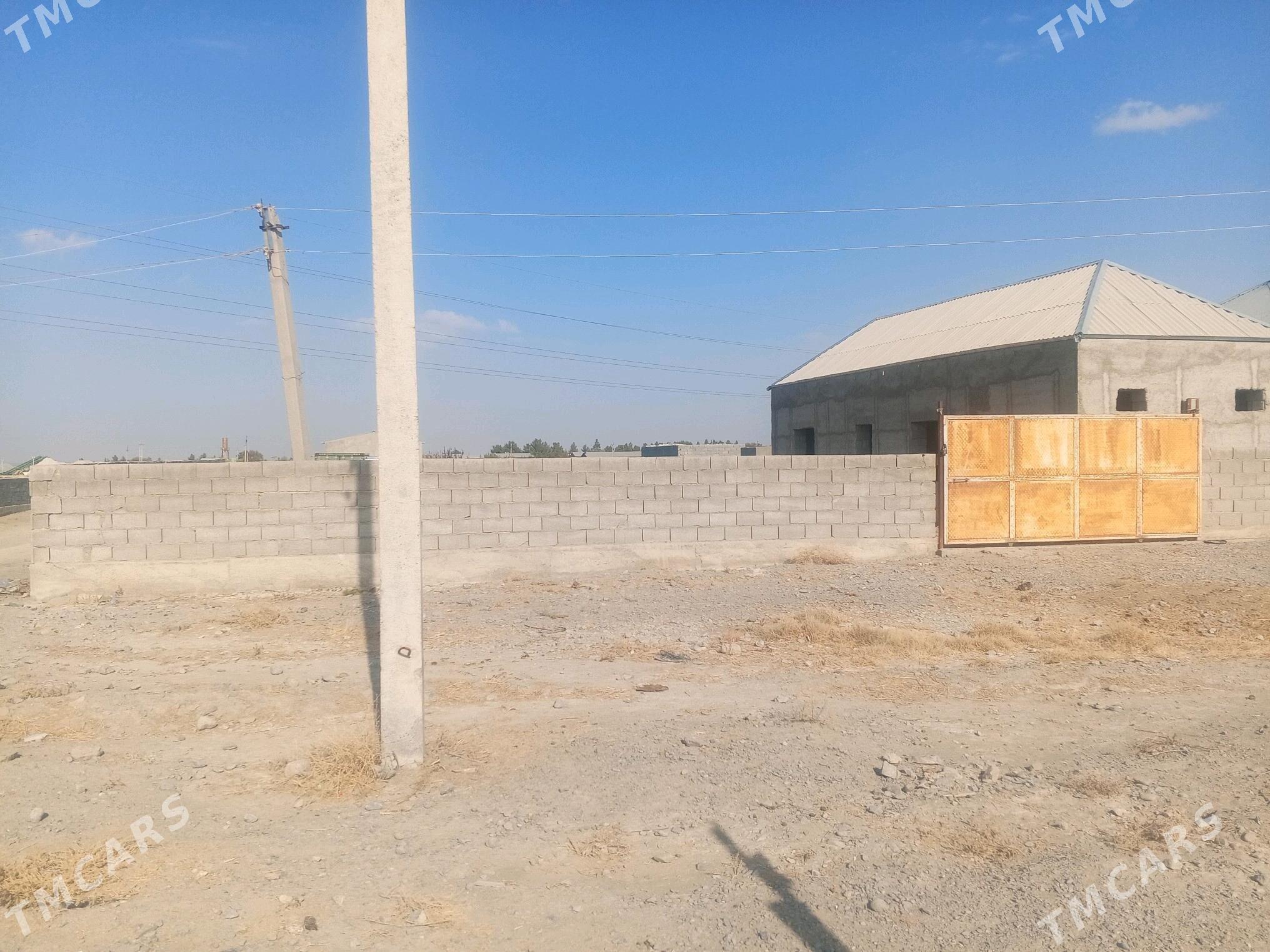 Jaý - Bäherden - img 5