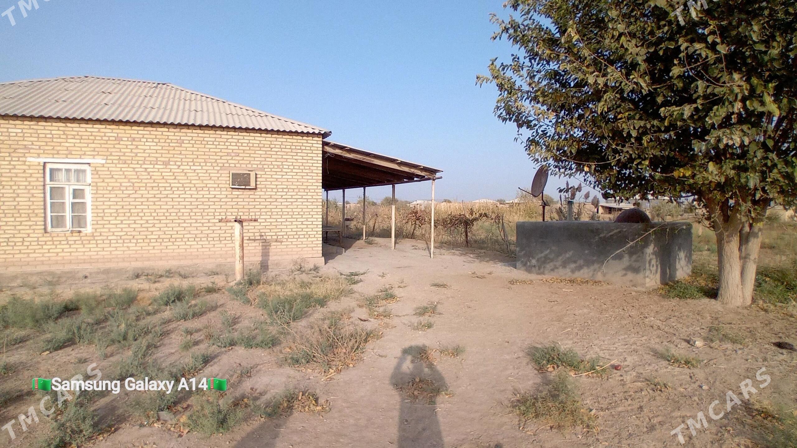 Satlyk jaý Ýolöten - Ýolöten - img 7