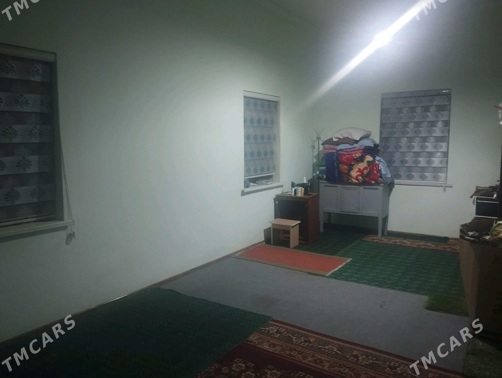 Satlyk jay - Mary - img 4