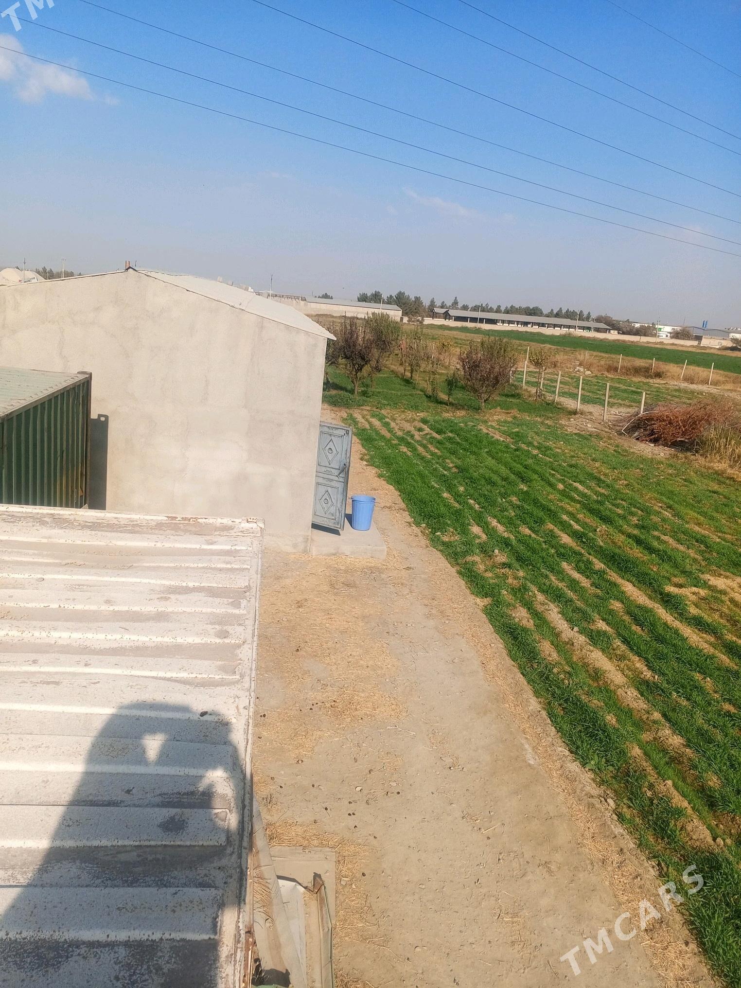 Jaý - Bäherden - img 3