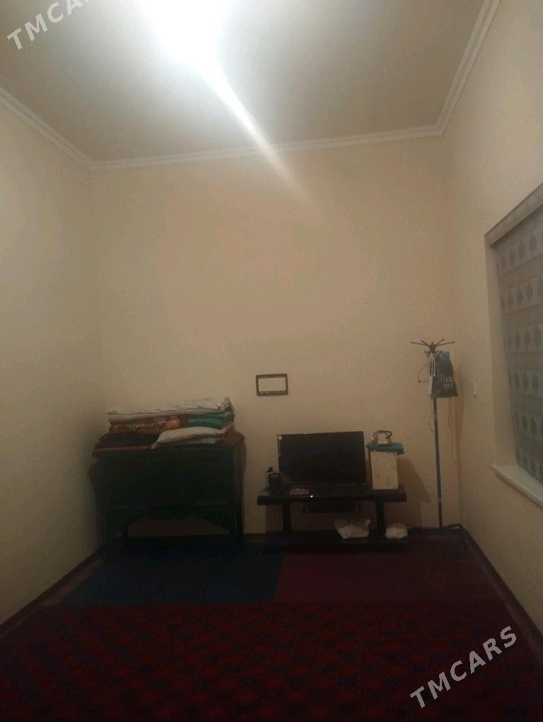 Satlyk jay - Mary - img 2