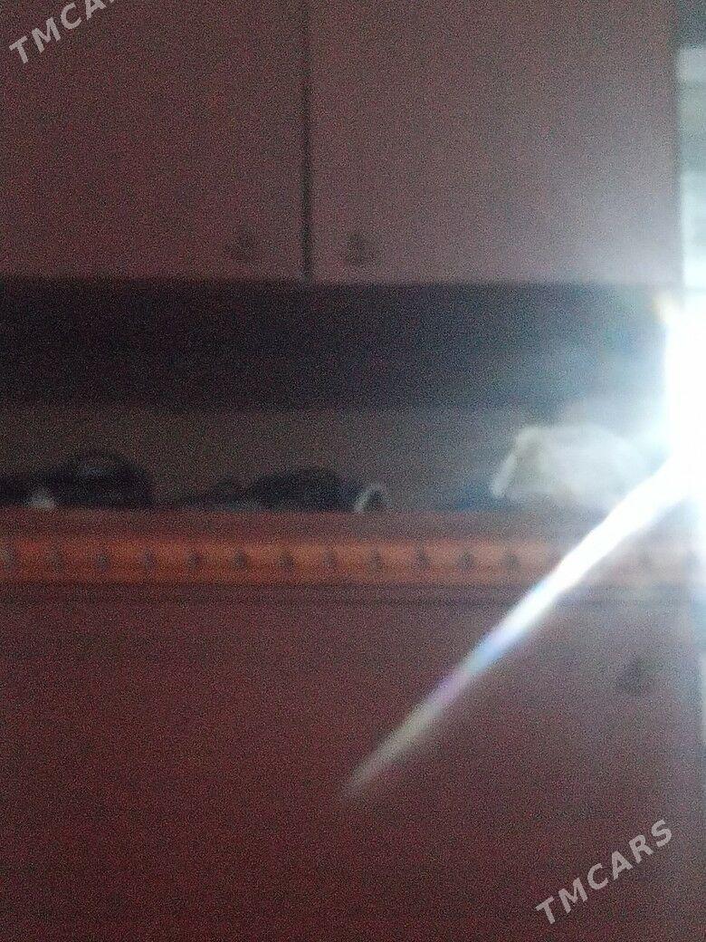 Kireyne jay - Sarahs - img 1