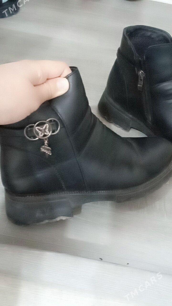 Çaga  Gara  adik - Türkmenabat - img 2