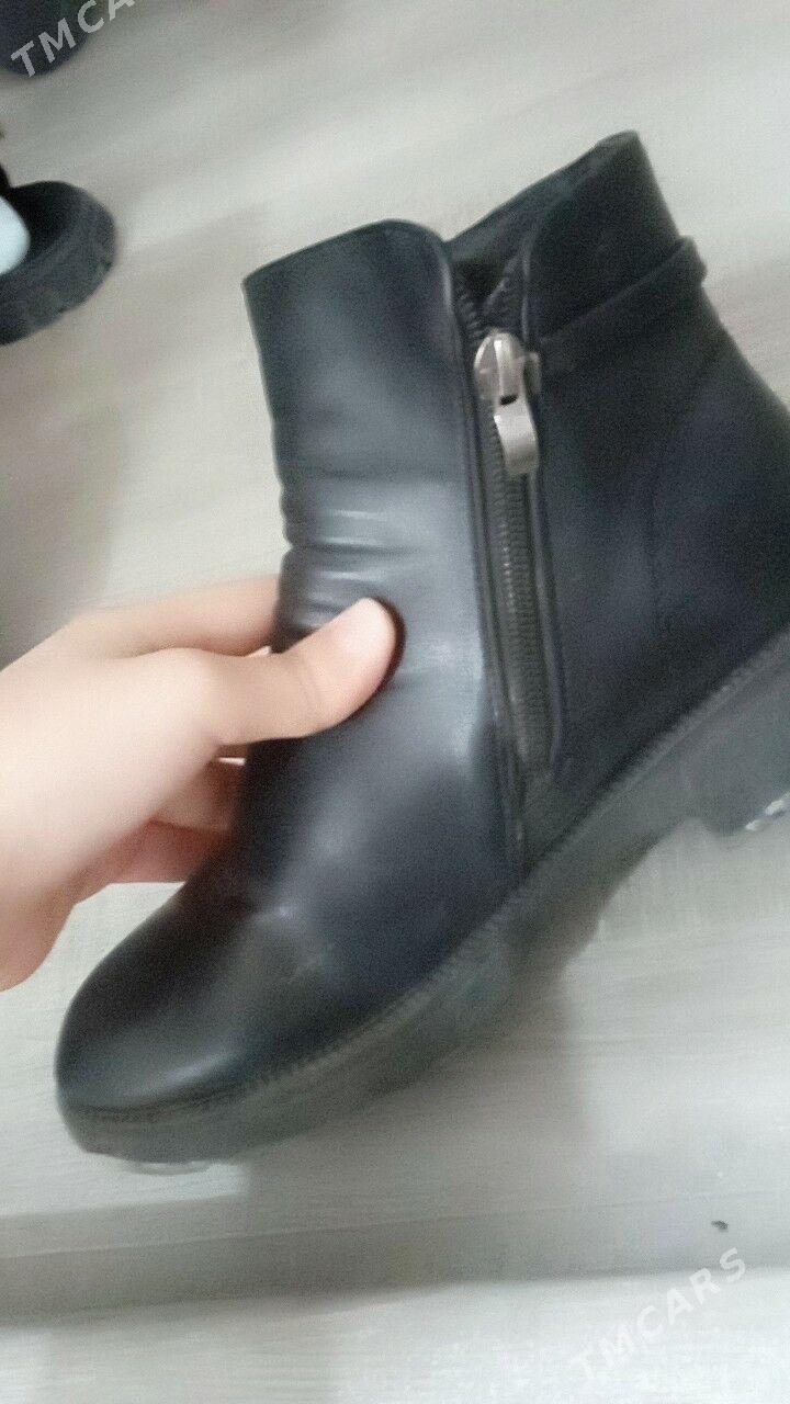 Çaga Gara adik - Türkmenabat - img 1