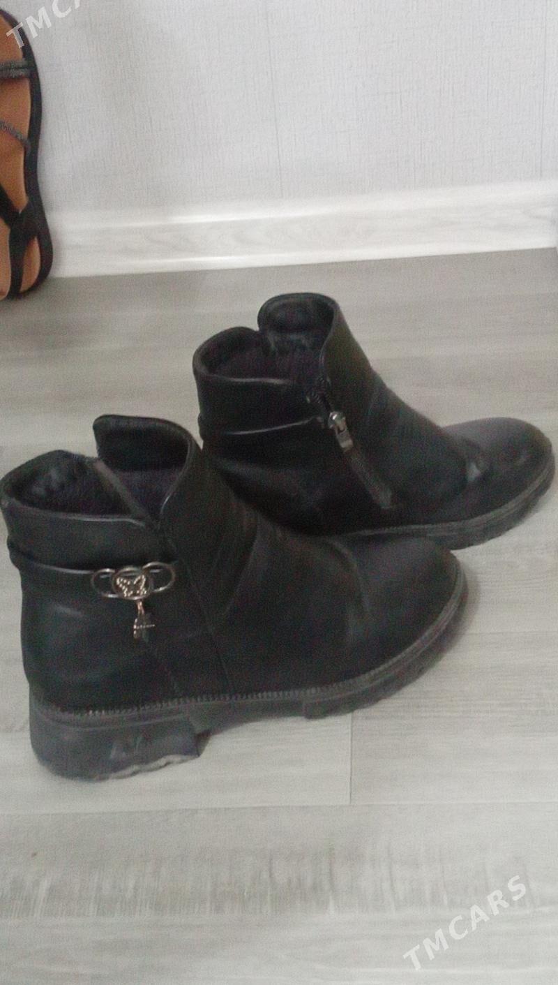 Çaga  Gara  adik - Türkmenabat - img 4