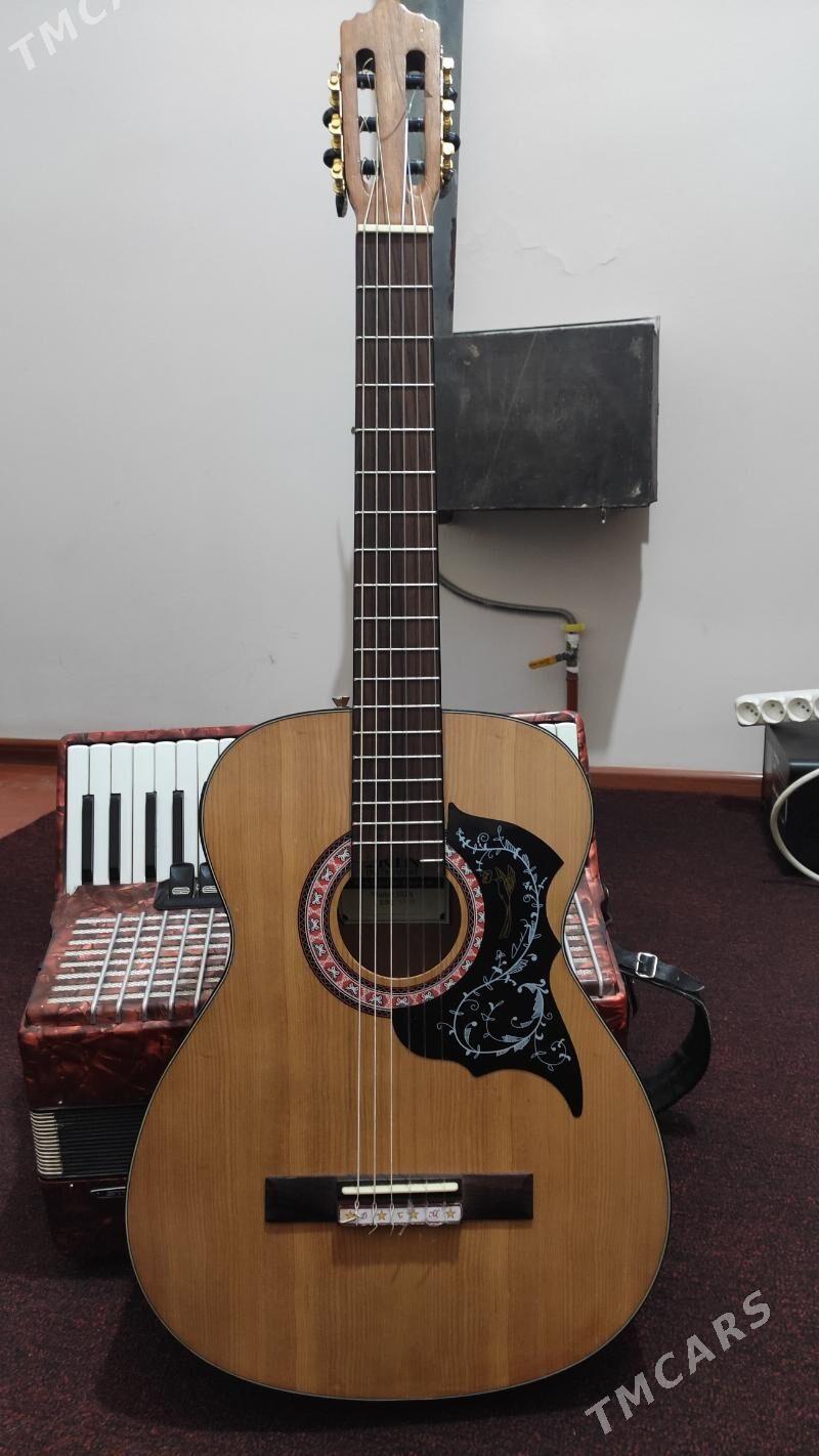 ELEKTRA GİTARA - Мары - img 6