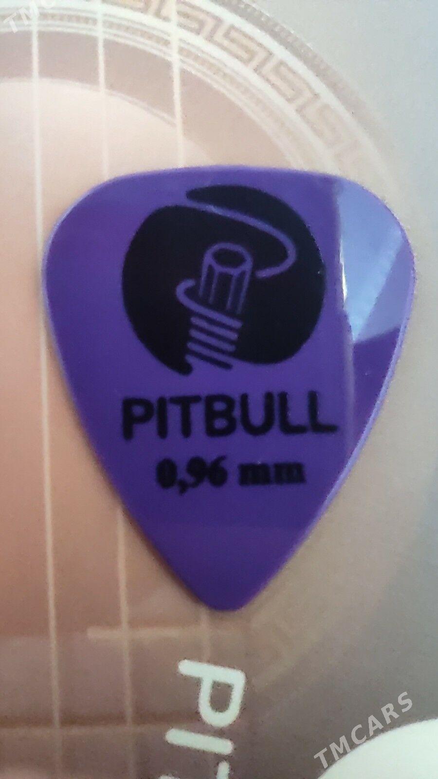 ELEKTRA GİTARA - Мары - img 2