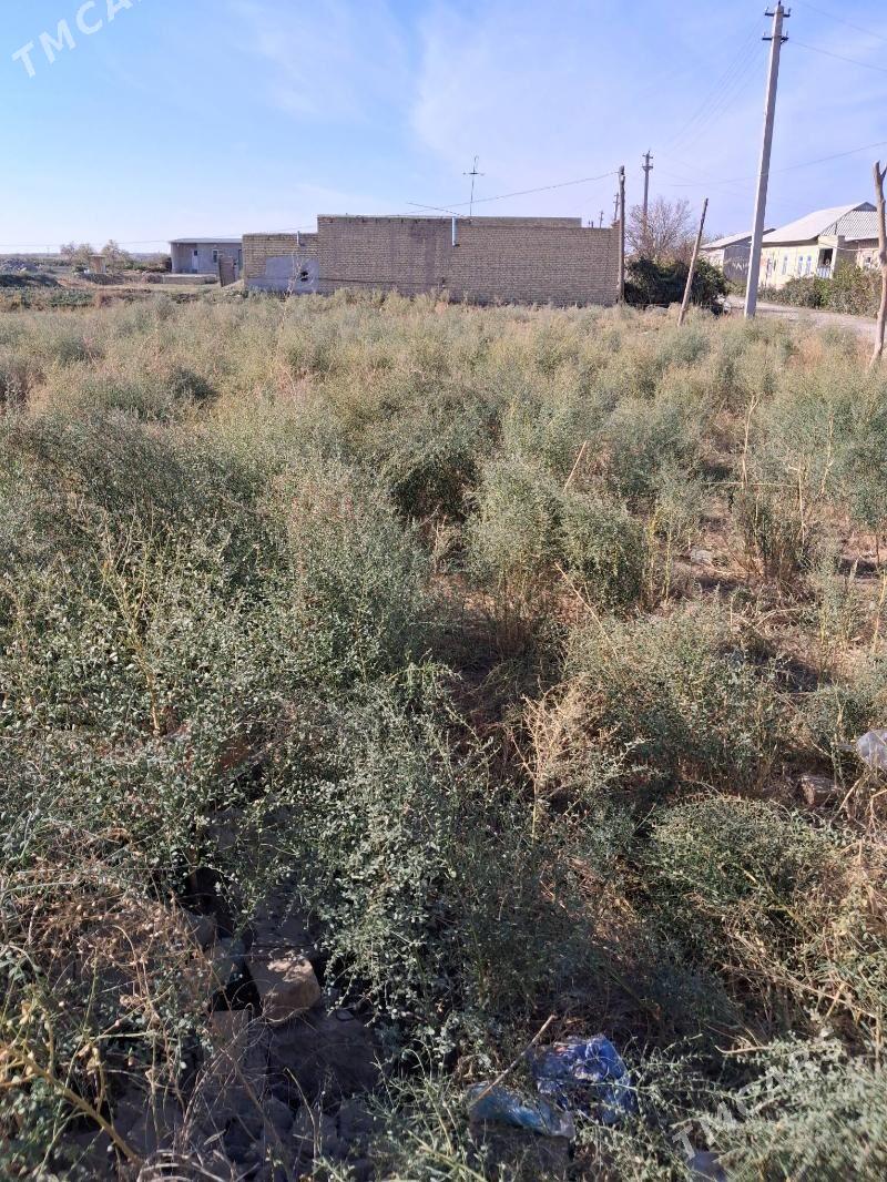 Mellek - Дянев - img 3