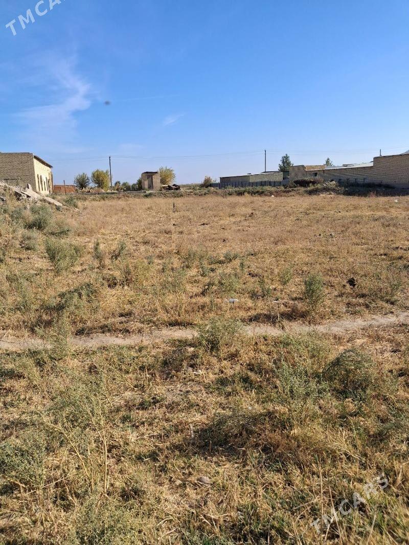 Mellek - Дянев - img 1