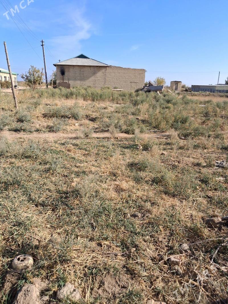 Mellek - Дянев - img 2