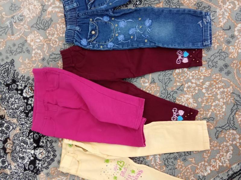 Çaga jinsy - Ашхабад - img 2