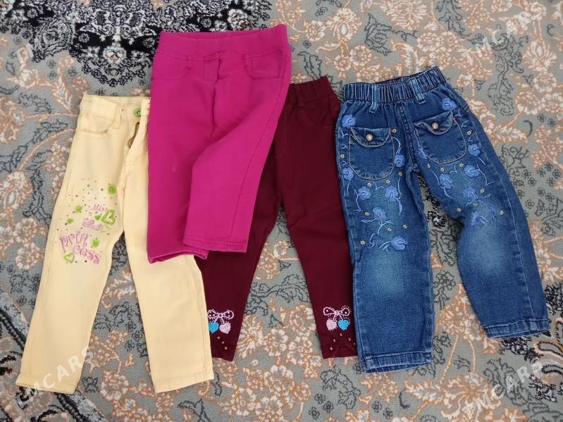 Çaga jinsy - Ашхабад - img 1