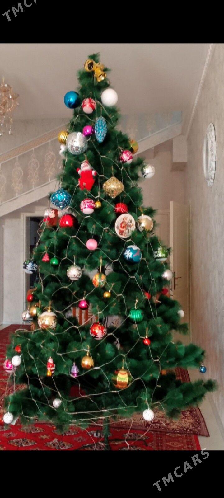 Täze yyl ýolkasy - Baýramaly - img 3