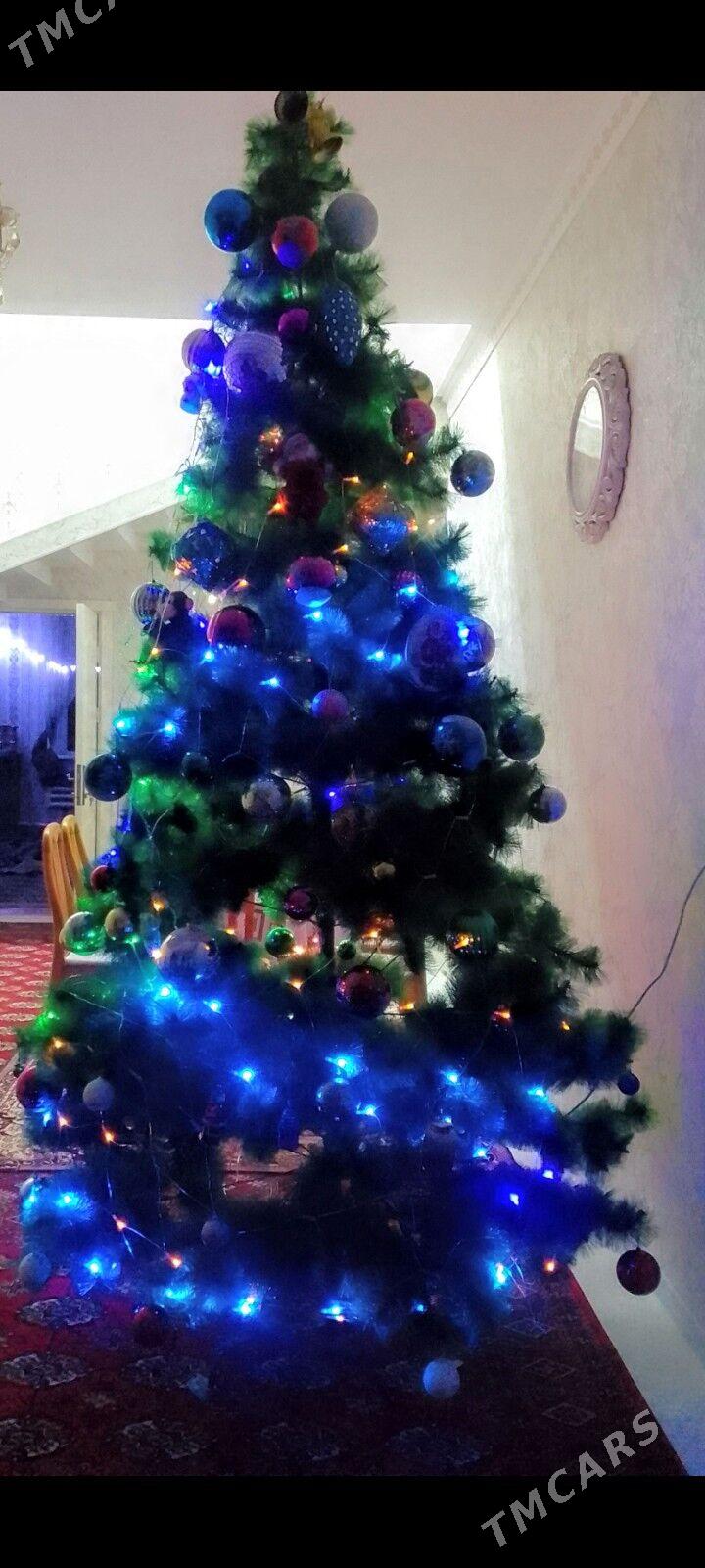 Täze yyl ýolkasy - Baýramaly - img 4