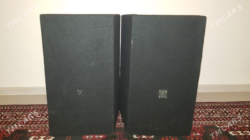 Toý kalonka - Esenguly - img 2