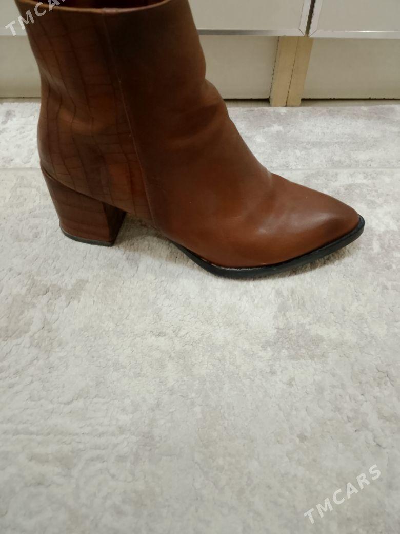 Bot - Gumdag - img 3