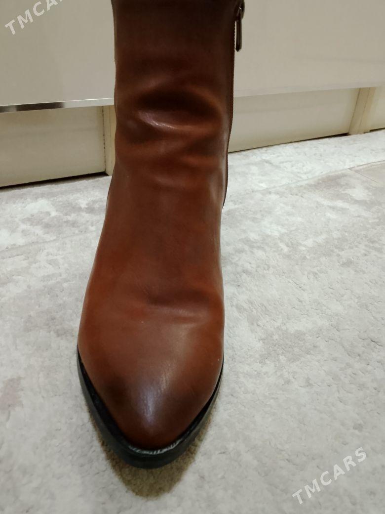 Bot - Gumdag - img 1