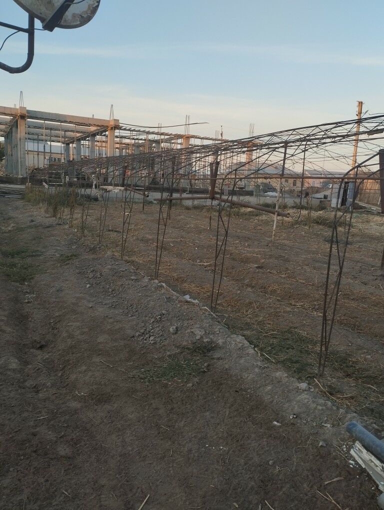 teplisa - Туркменабат - img 6