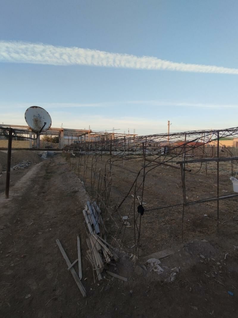 teplisa - Туркменабат - img 5