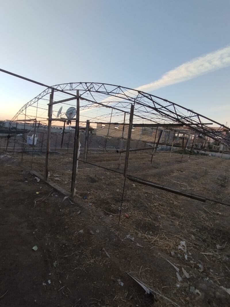 teplisa - Туркменабат - img 3