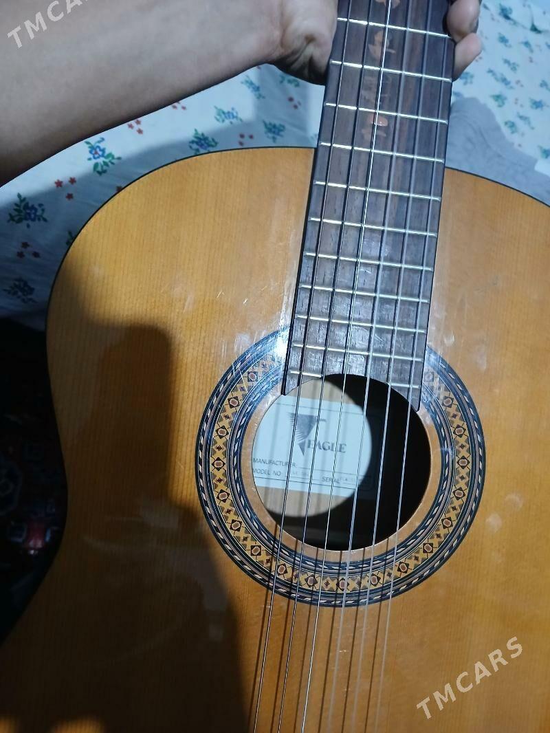 Gitara - Saýat - img 1