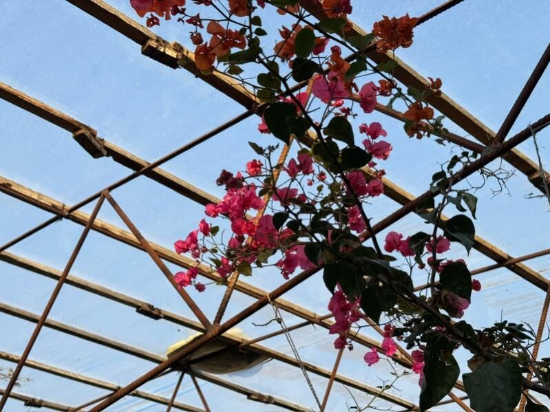 продается дача - Туркменабат - img 7