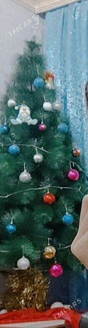 ýolka - Hitrowka - img 1