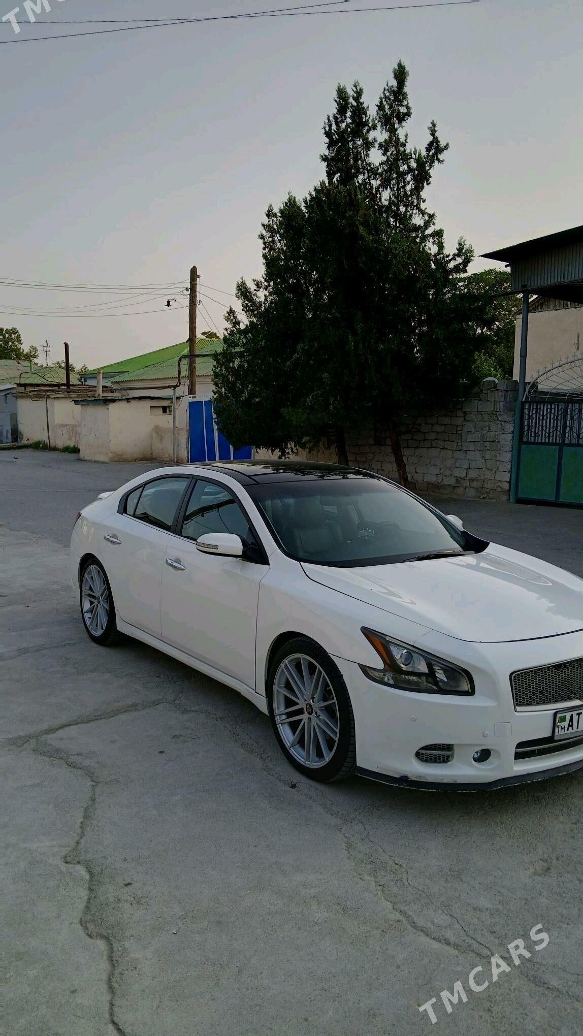 Nissan Maxima 2010 - 195 000 TMT - Aşgabat - img 7
