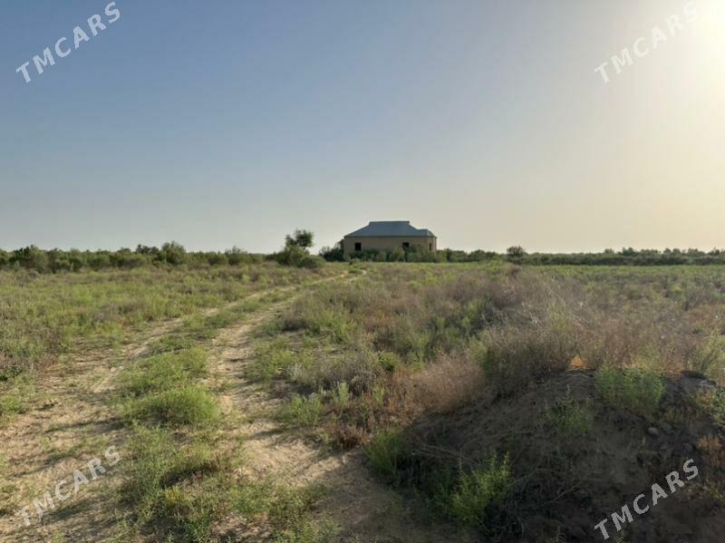 Mary  Satlyk Mellek - Мары - img 3