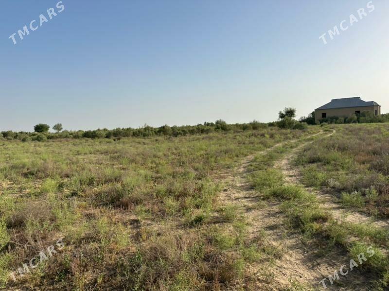 Mary  Satlyk Mellek - Мары - img 4