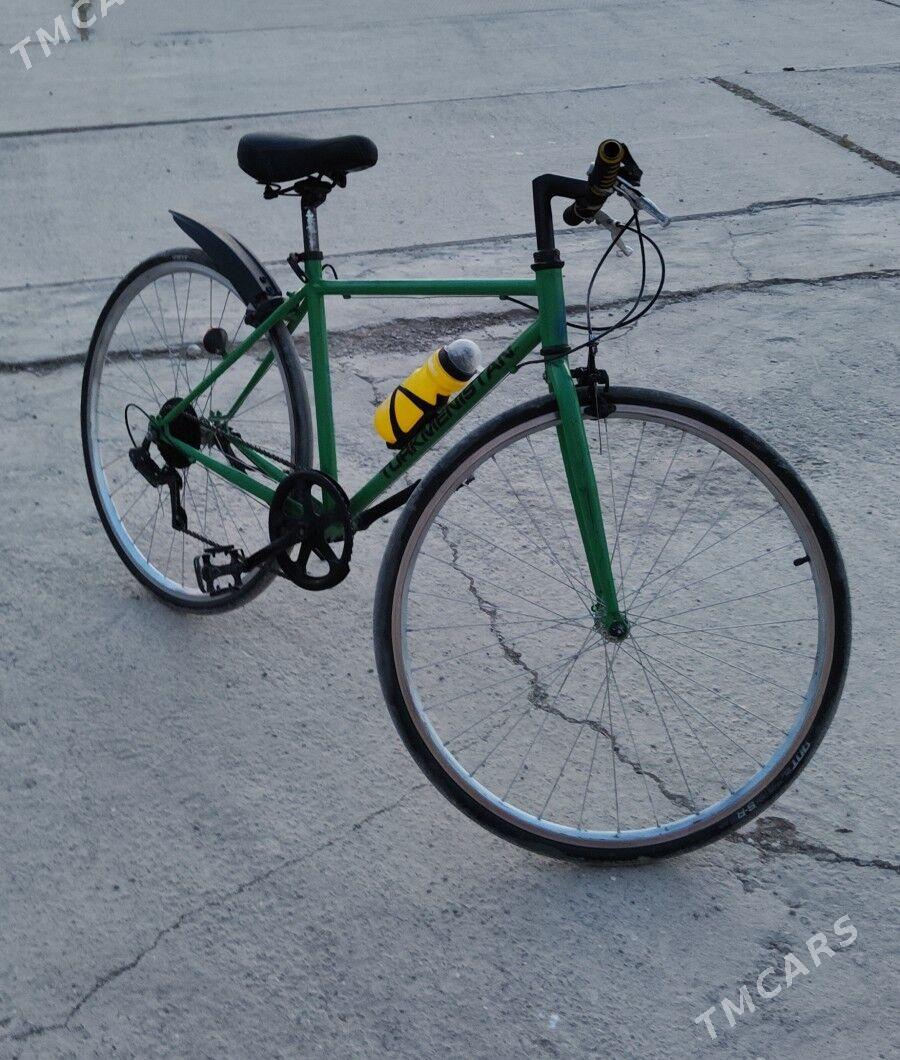 tigir - Büzmeýin - img 2