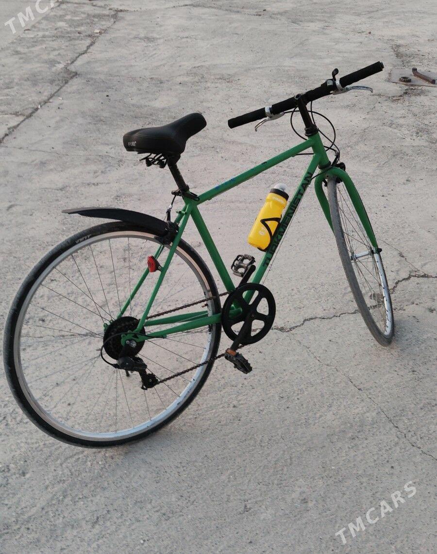 tigir - Büzmeýin - img 1