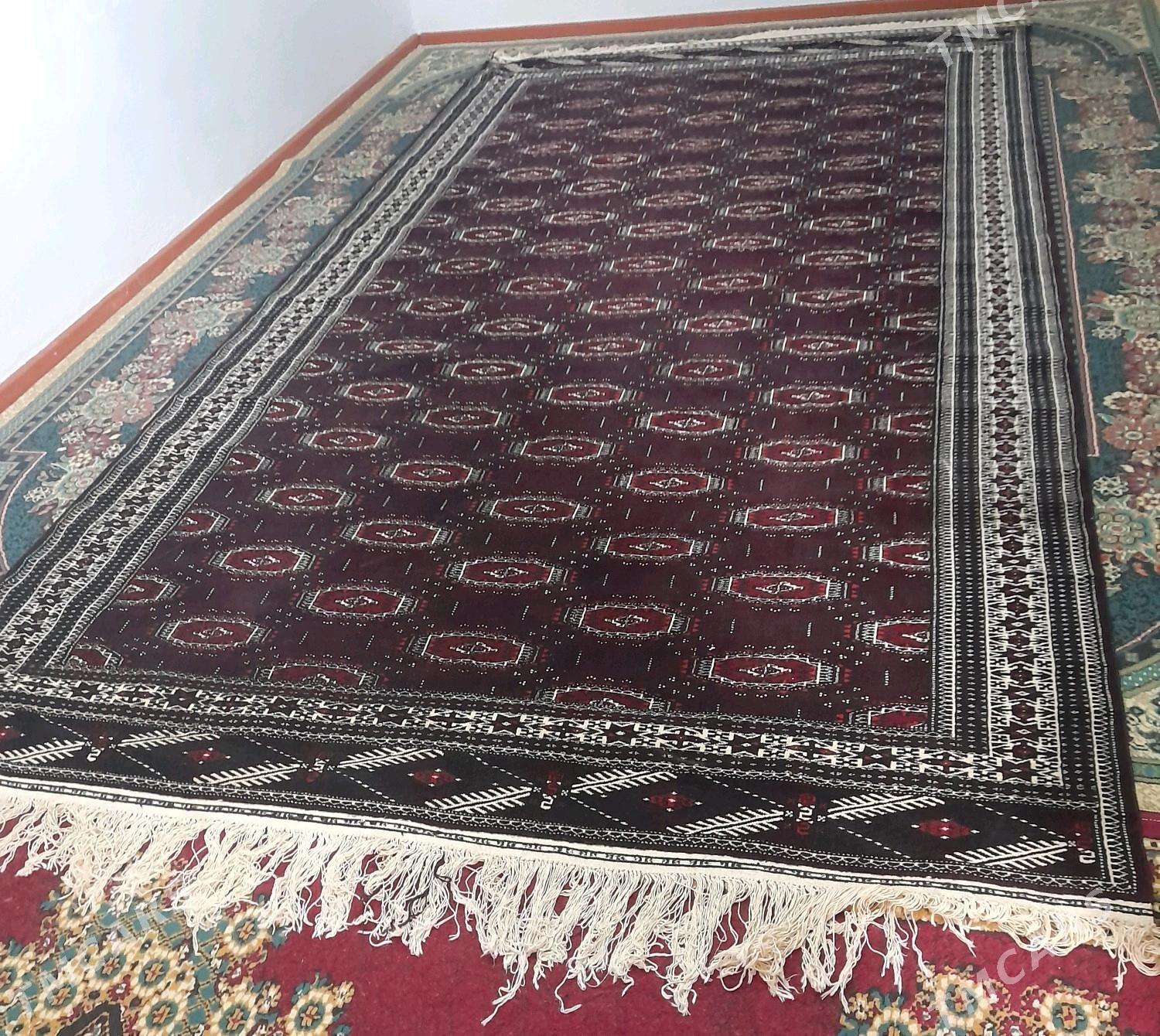 haly - Balkanabat - img 1