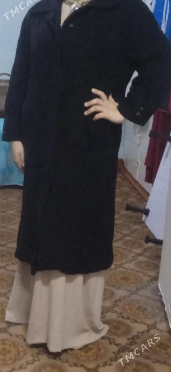 palto talyplaryňky - Daşoguz - img 1