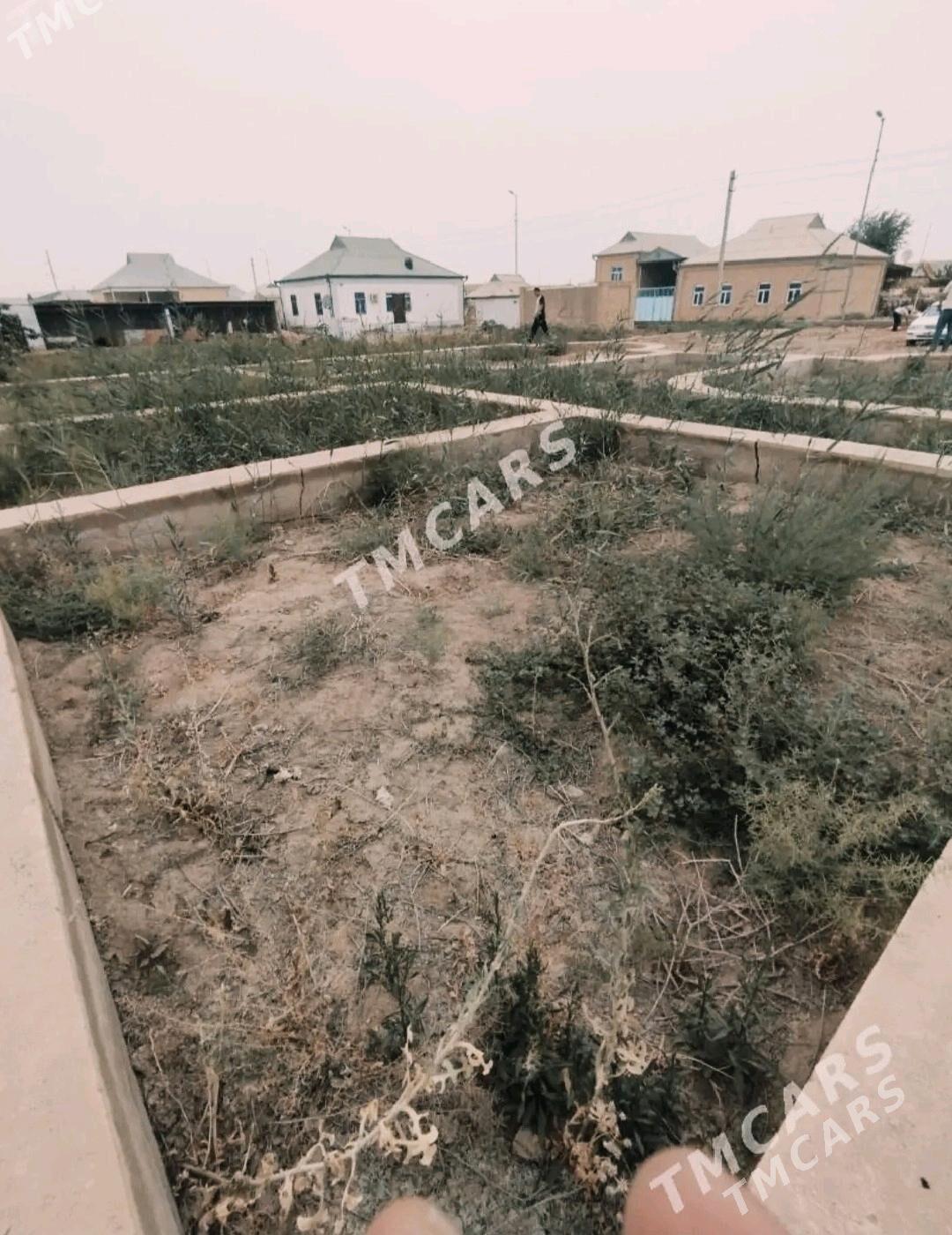 MUXAD 8 SOTOK - Мары - img 5