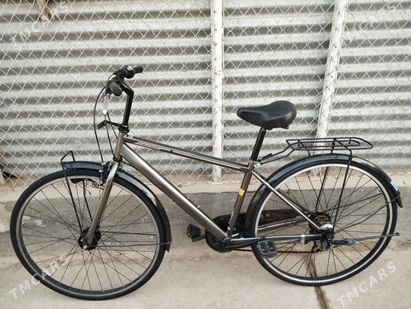 27 Yapon wel - Mary - img 2