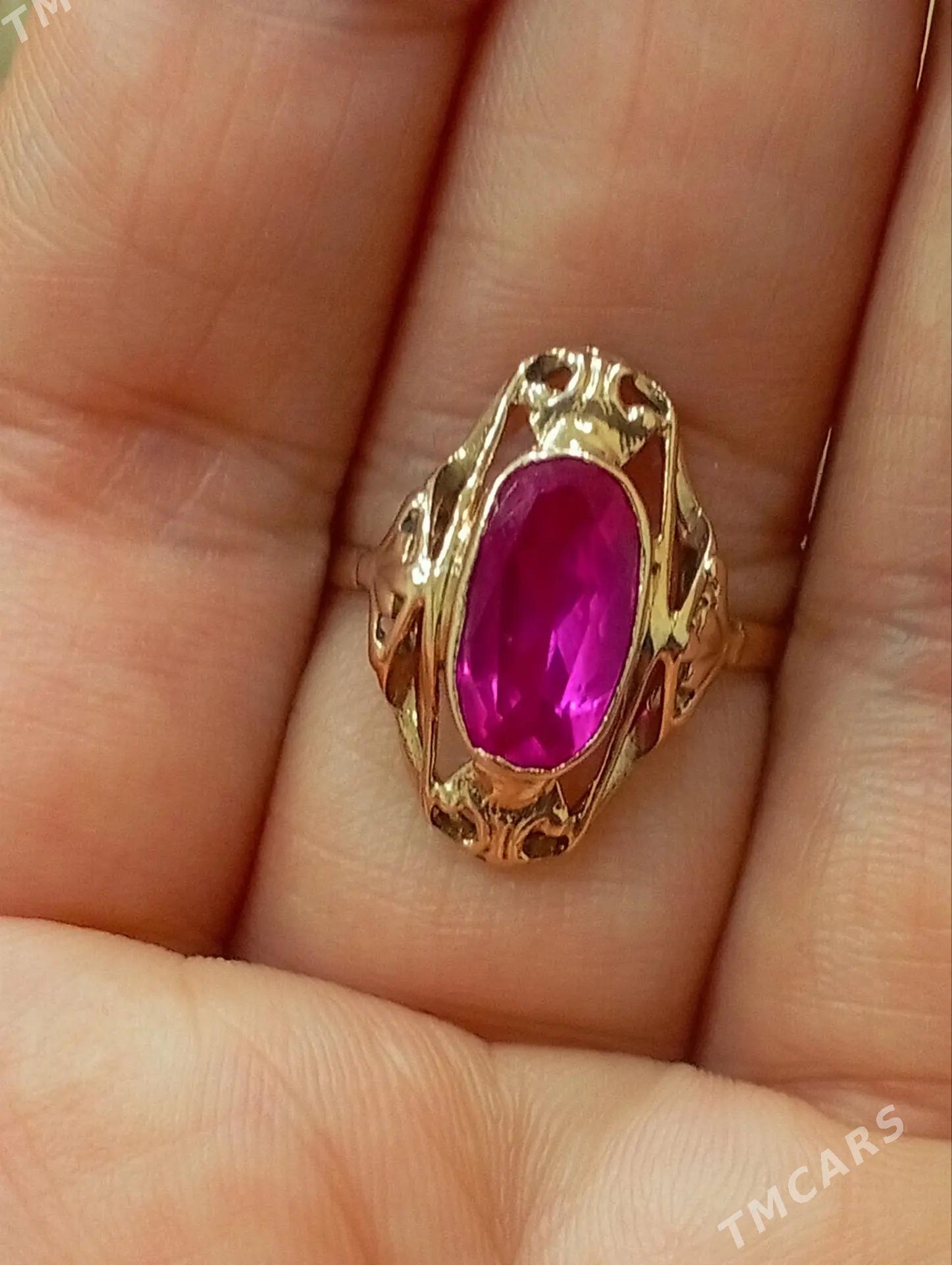 Gyzyl yuzik gadymy - Aşgabat - img 4