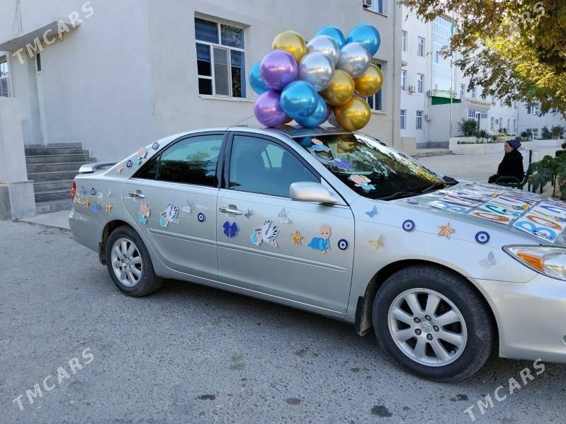 Maşyn bezemeli - Şatlyk - img 3