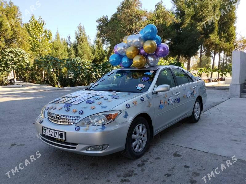 Maşyn bezemeli - Şatlyk - img 2