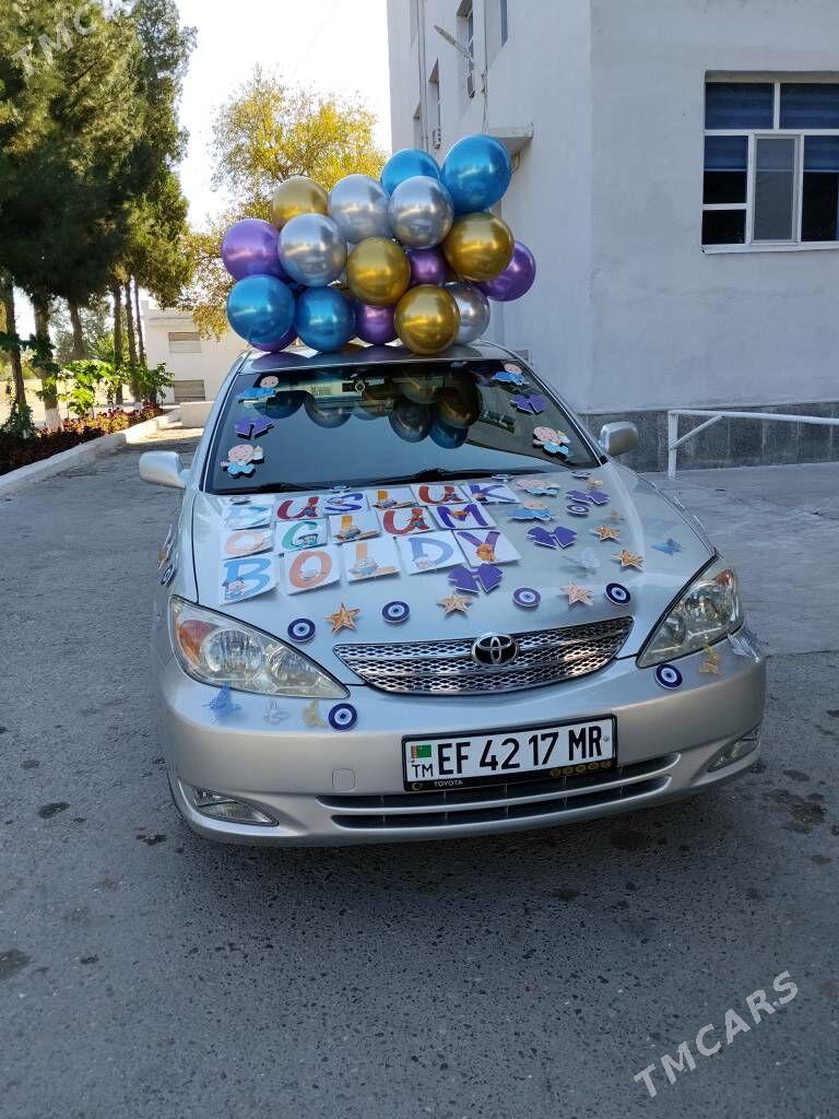 Maşyn bezemeli - Şatlyk - img 1