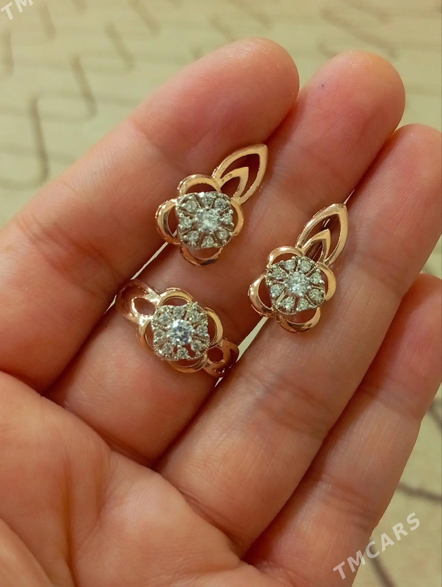 Gyzyl kampilekit - Ашхабад - img 3